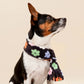 Flower Power Fleece Pet Scarf