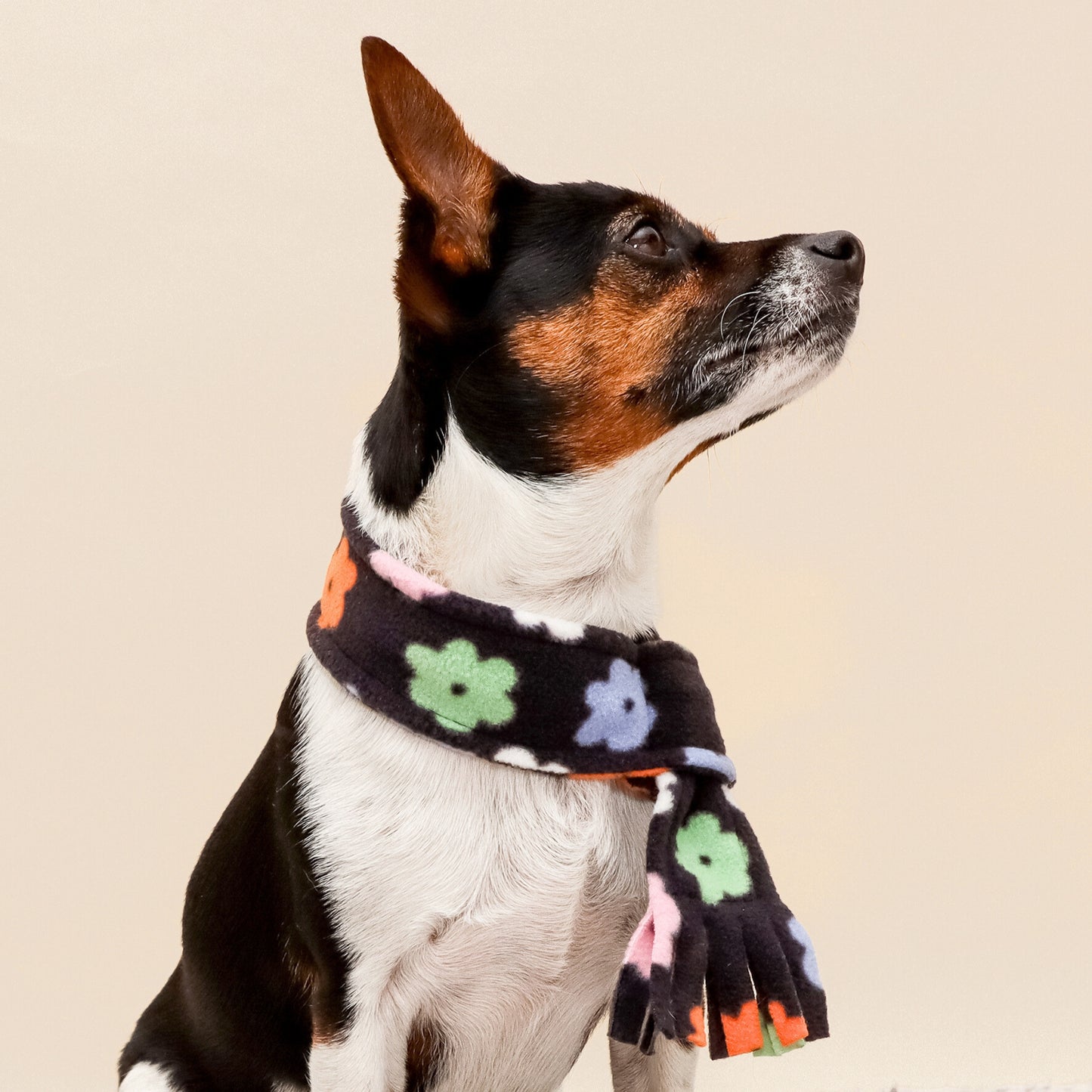 Flower Power Fleece Pet Scarf
