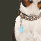 *Glow* in the Dark Bright Blue Bolt DinkyDangle