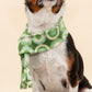 Groovy Green Fleece Pet Scarf