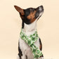 Groovy Green Fleece Pet Scarf