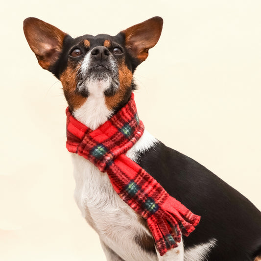 Royal Stewart Highland Tartan Fleece Pet Scarf