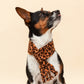 Tawny Brown Leopard Fleece Pet Scarf