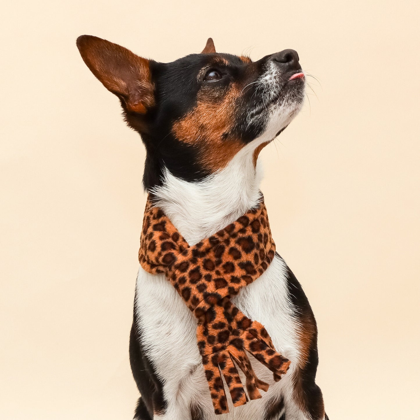 Tawny Brown Leopard Fleece Pet Scarf