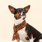 Tawny Brown Leopard Fleece Pet Scarf