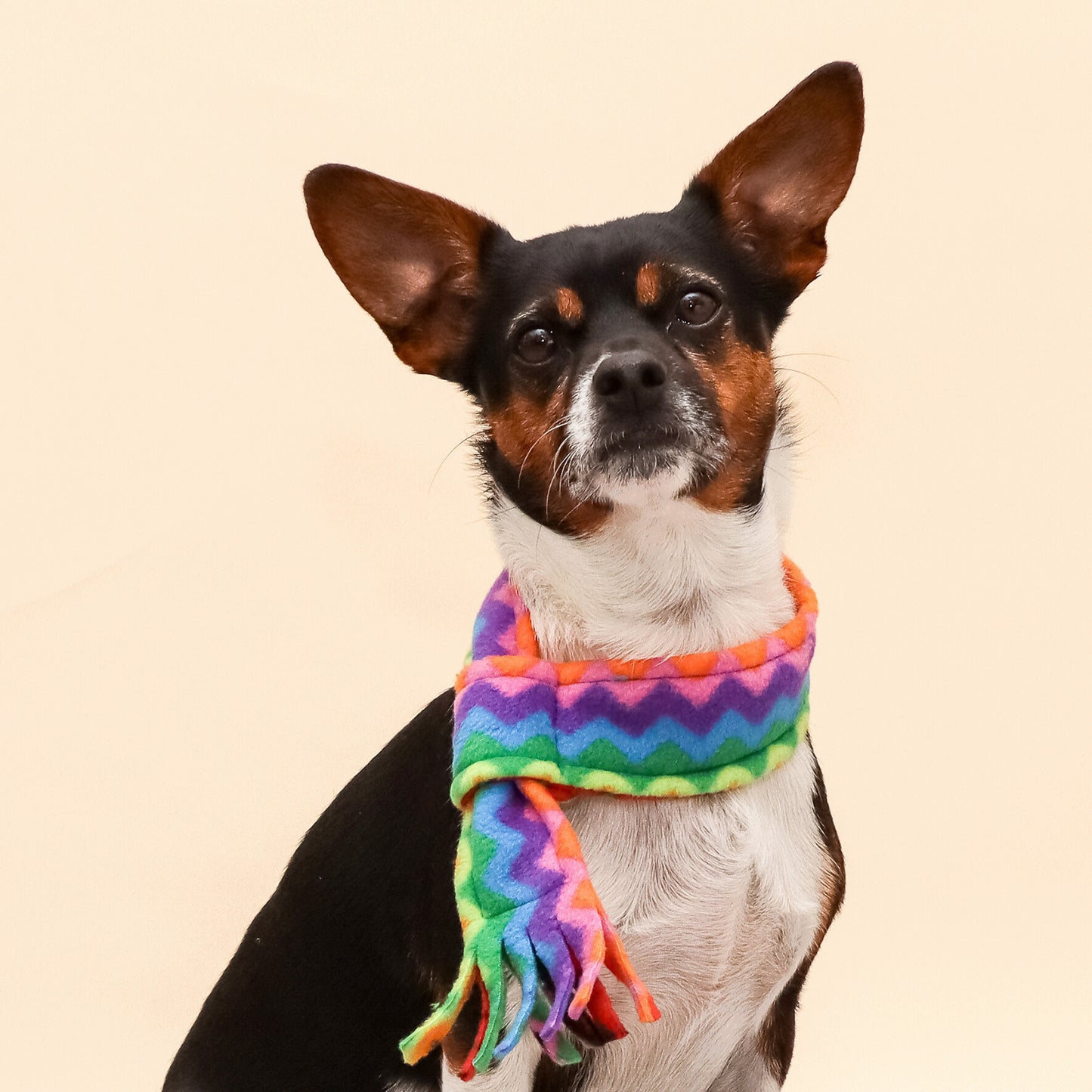 Ziggy Rainbow Fleece Pet Scarf