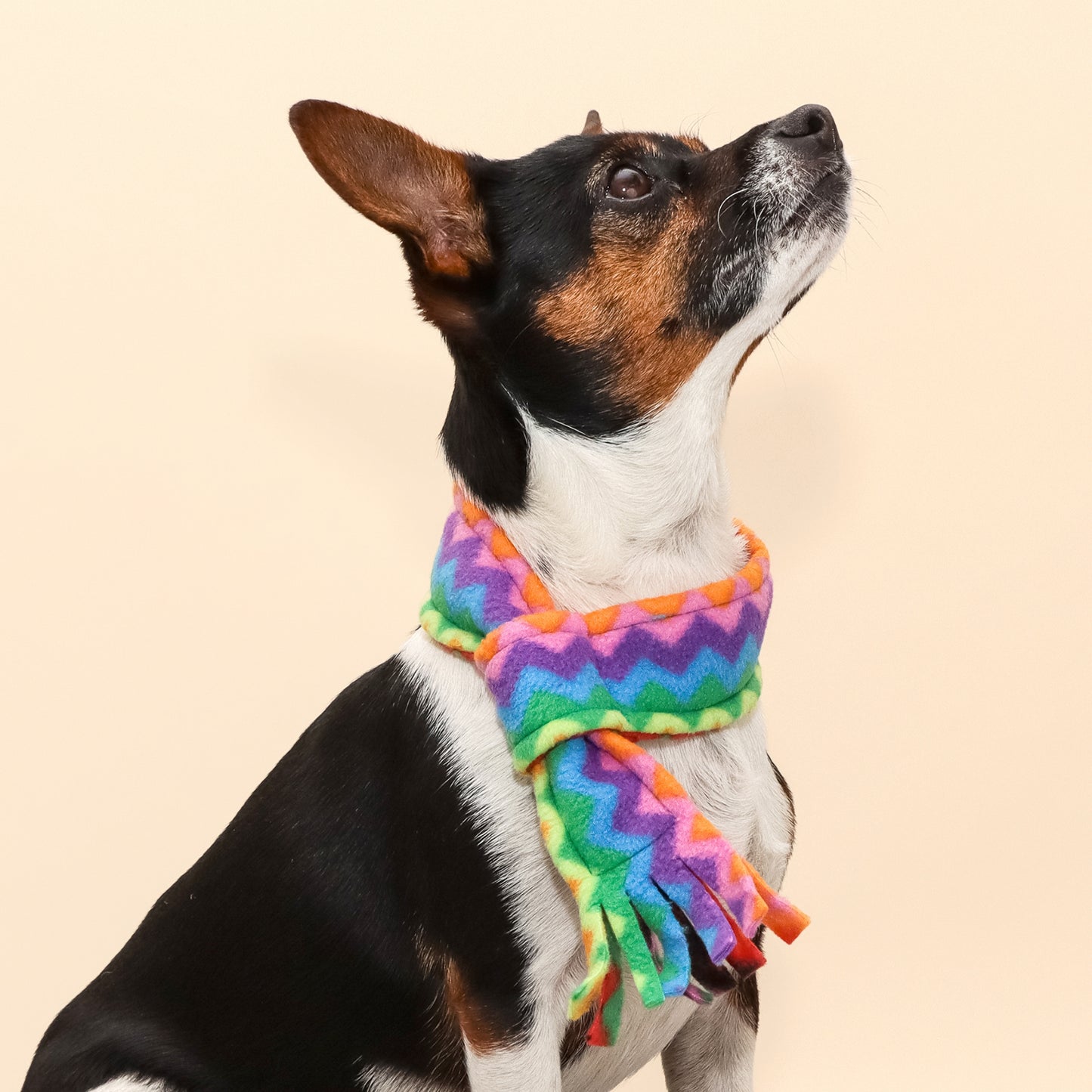 Ziggy Rainbow Fleece Pet Scarf