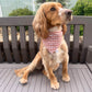 Wren & Rye Flock & Flower Reversible Bandana