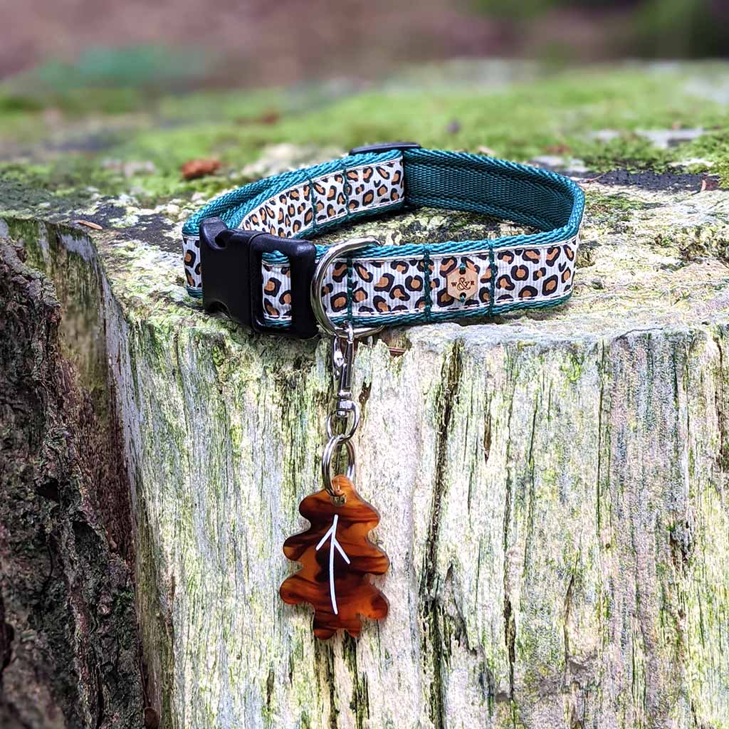 Wren & Rye Forest Fir Leopard Print Dog Collar