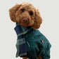 Wren & Rye Blue & Green Clifton Highland Tartan Fleece Pet Scarf