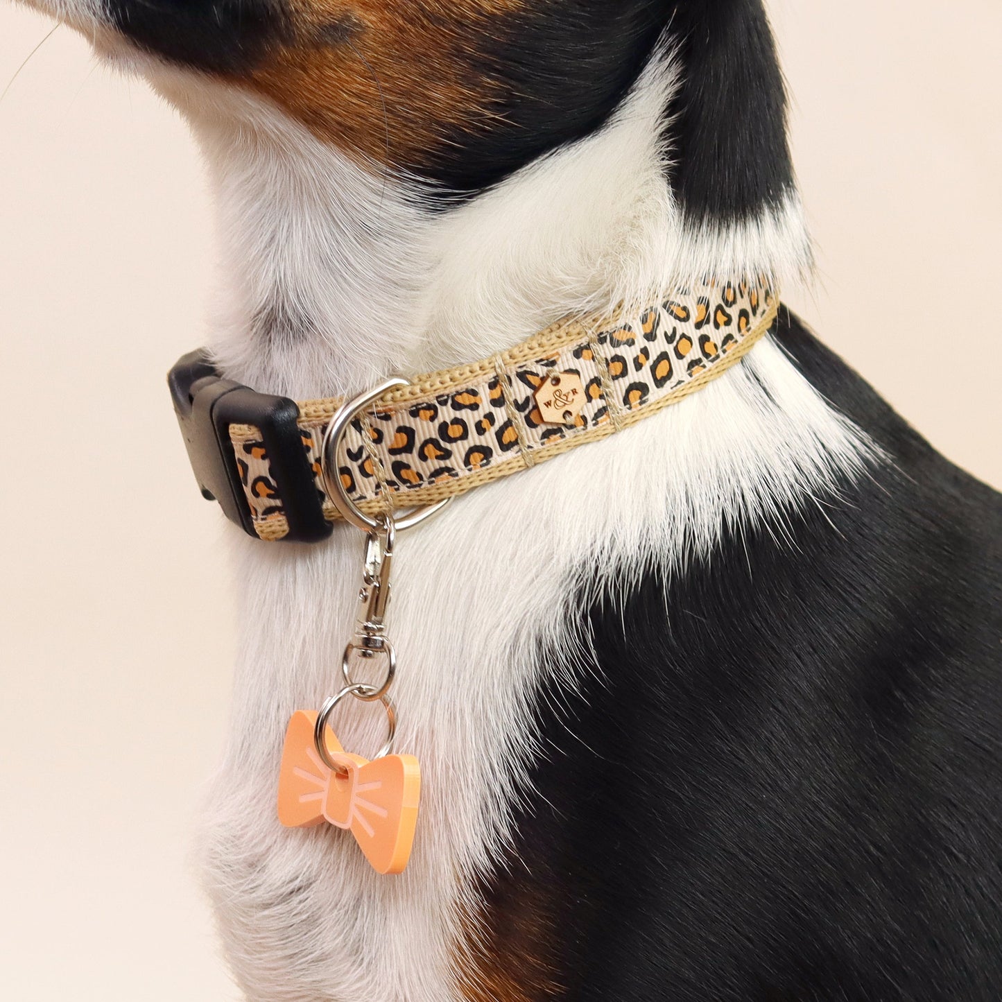 Wren & Rye Caramel Latte Leopard Print Dog Collar
