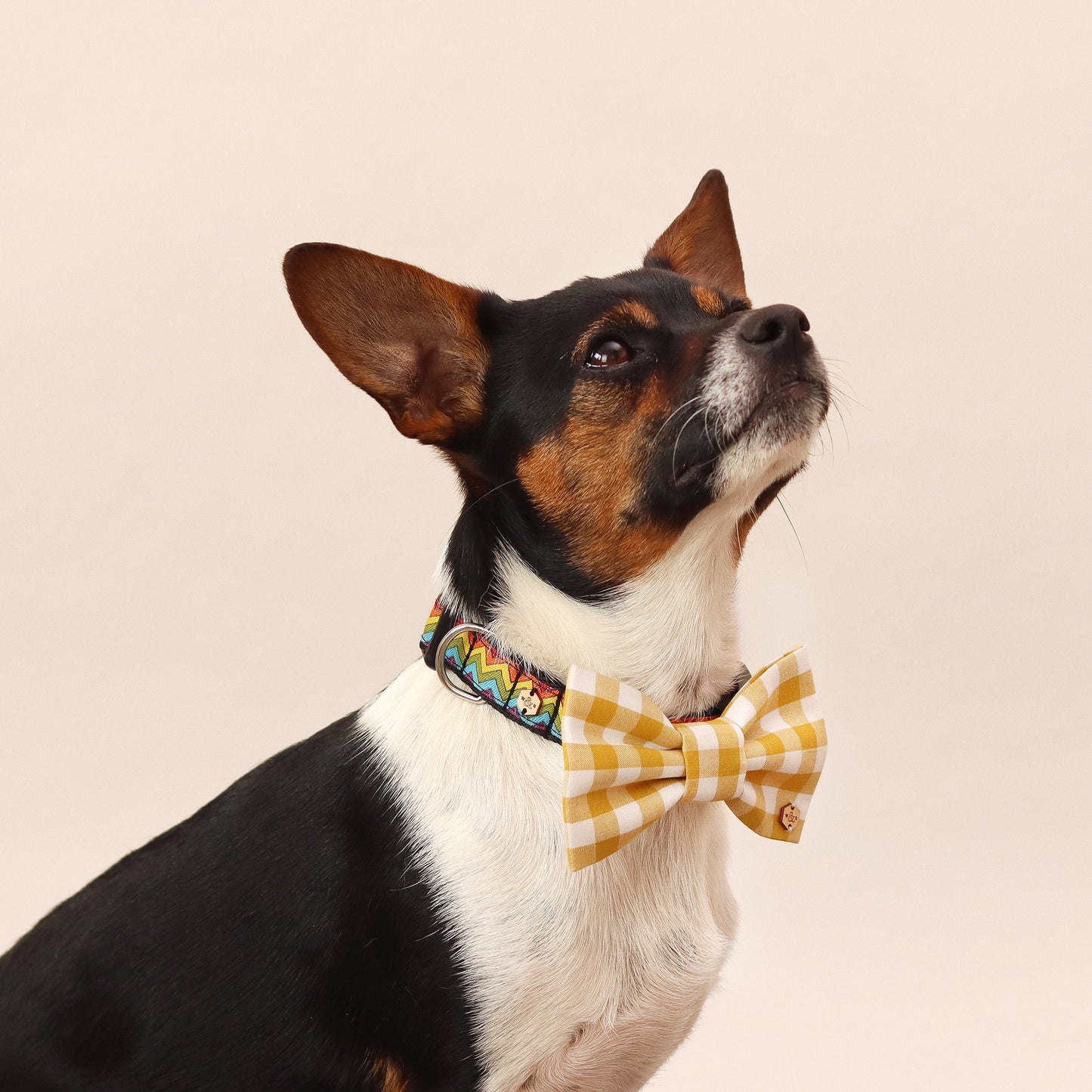 Wren & Rye Mustard Yellow Gingham Dog Bow Tie