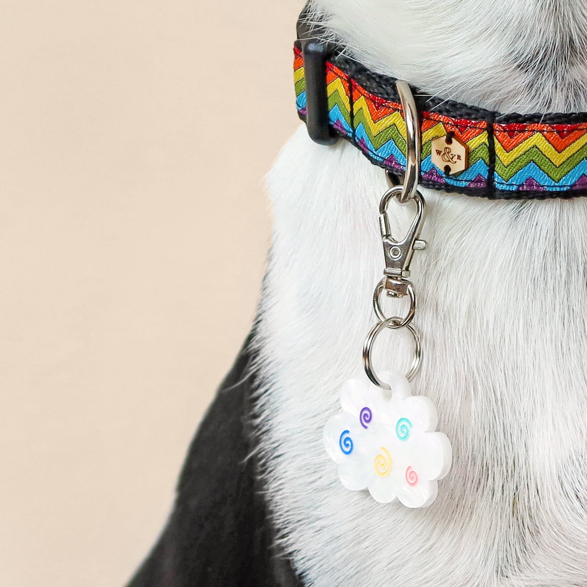 Wren & Rye Rainbow Cloud BowDangle